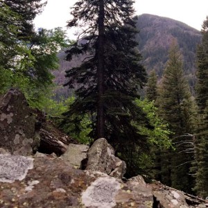 hyalite-creek-trail