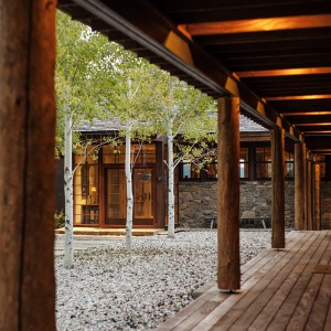 Intrinsik Architecture