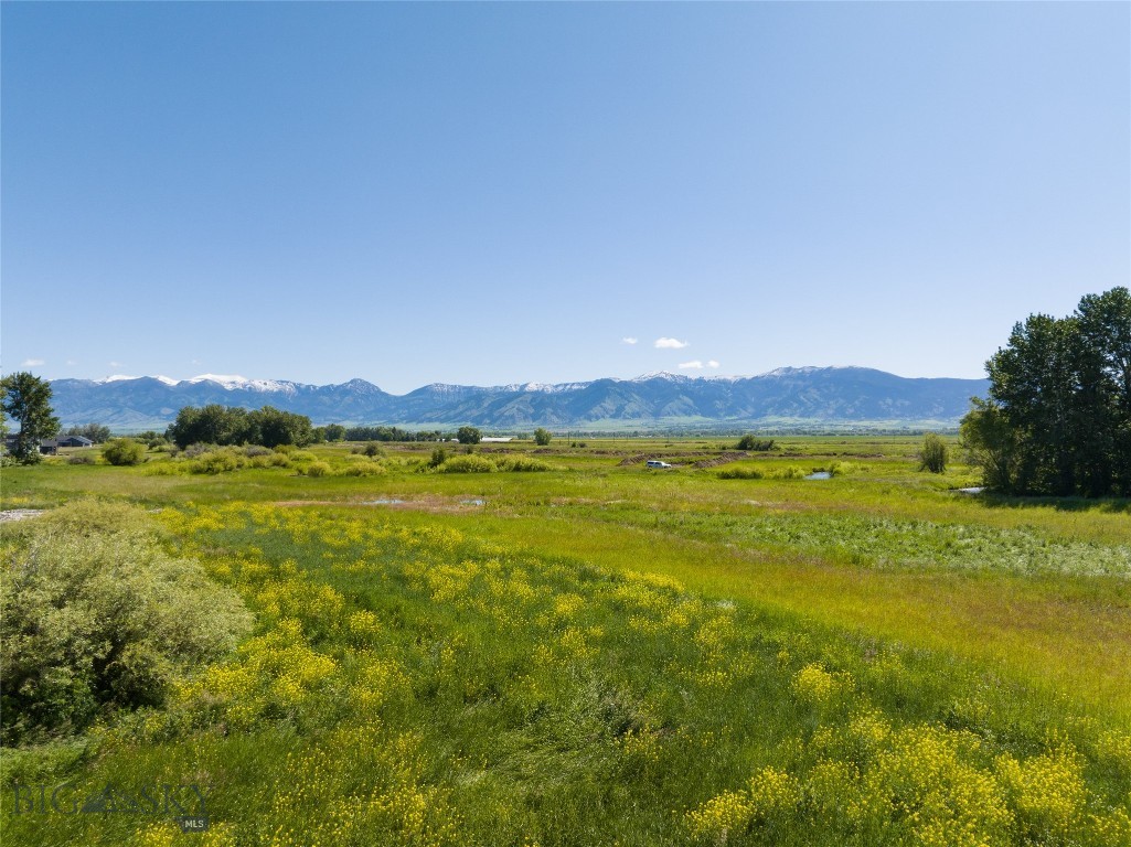 Lot 11 S Riparian Way, Bozeman MT 59718