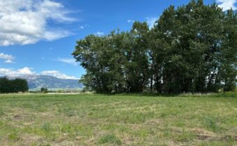 Lot 15 S Riparian Way, Bozeman MT 59718