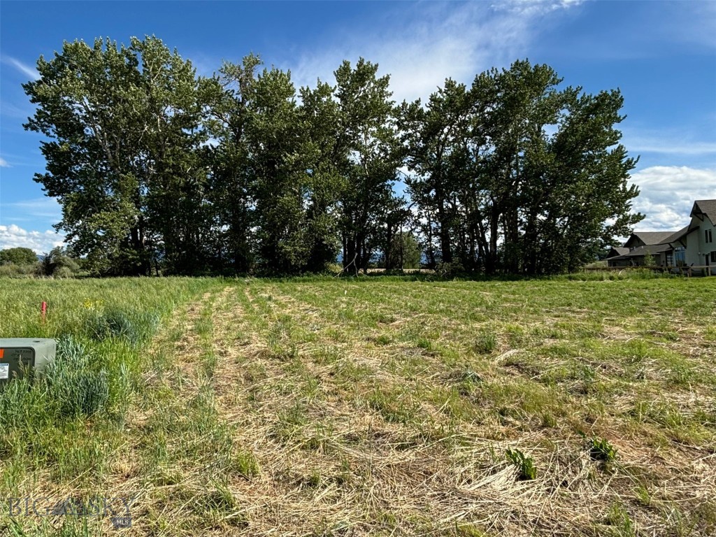 Lot 15 S Riparian Way, Bozeman MT 59718