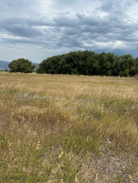 Lot 2A Bison Trail, Bozeman MT 59718