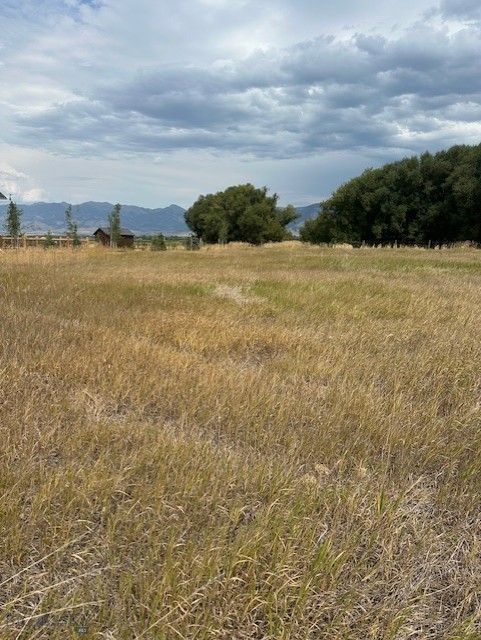 Lot 2A Bison Trail, Bozeman MT 59718
