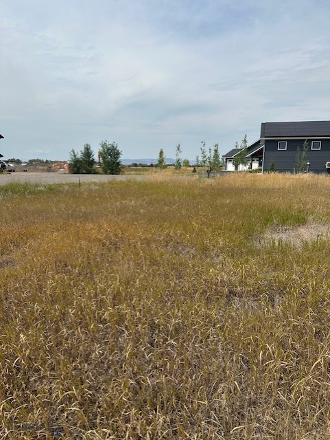 Lot 2A Bison Trail, Bozeman MT 59718