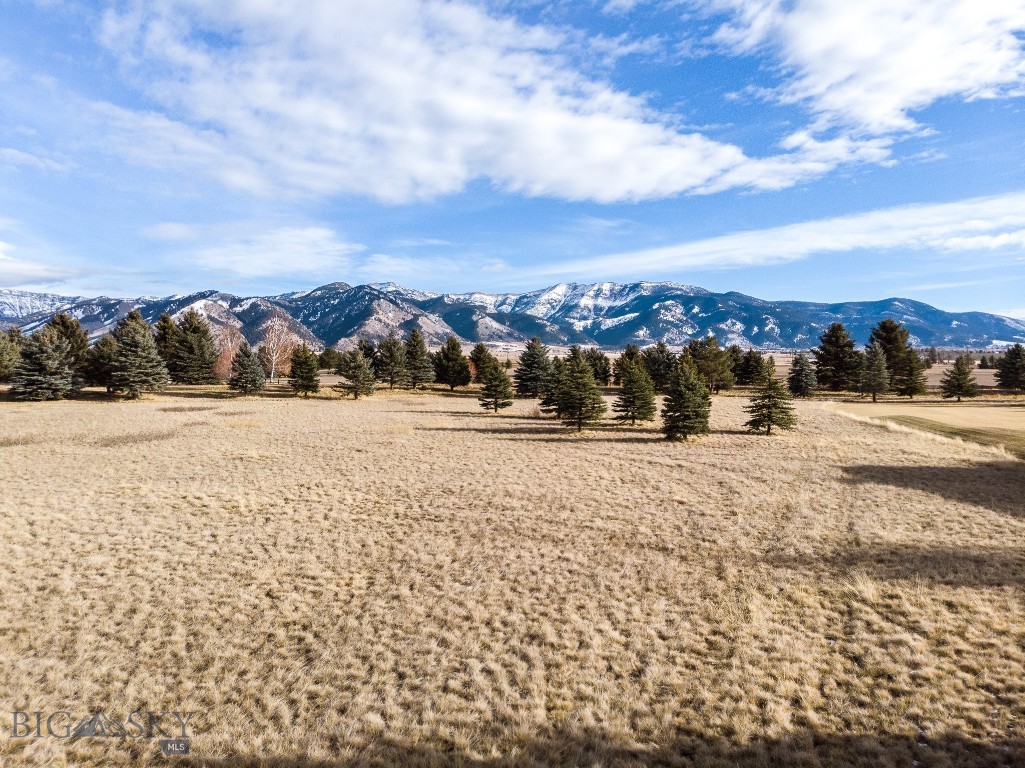 Lot 5830 Bridger Lake Drive, Bozeman MT 59715