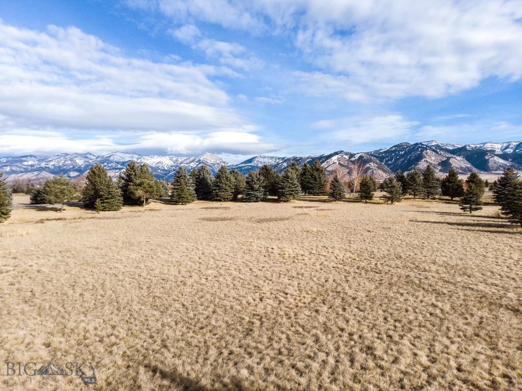 Lot 5830 Bridger Lake Drive, Bozeman MT 59715