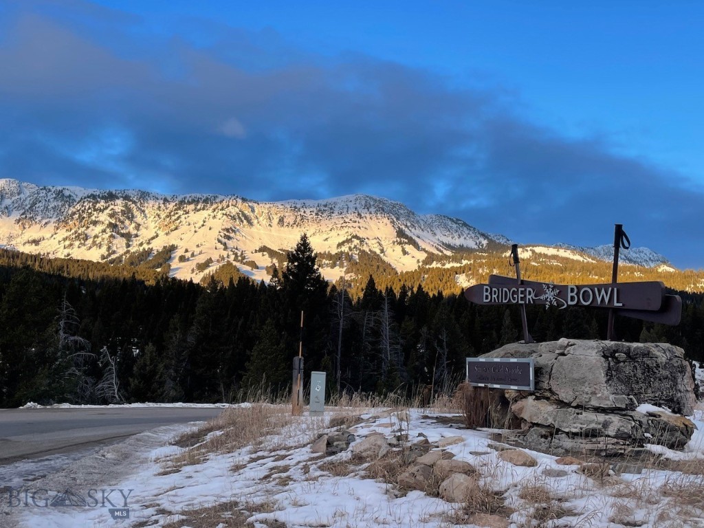 Lot 9A-1 Wedeln Drive, Bozeman MT 59715