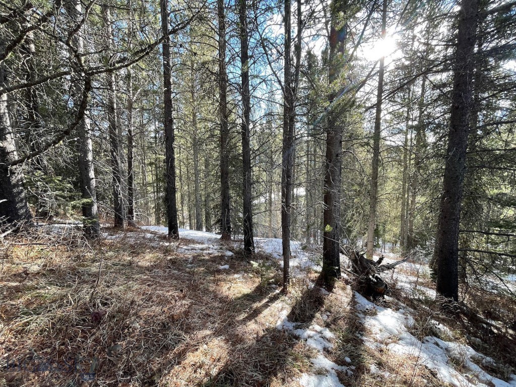 Lot 9A-1 Wedeln Drive, Bozeman MT 59715