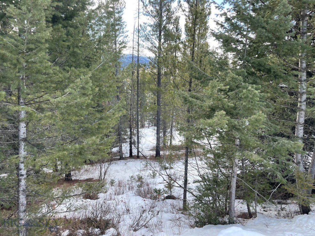 Lot 9A-1 Wedeln Drive, Bozeman MT 59715