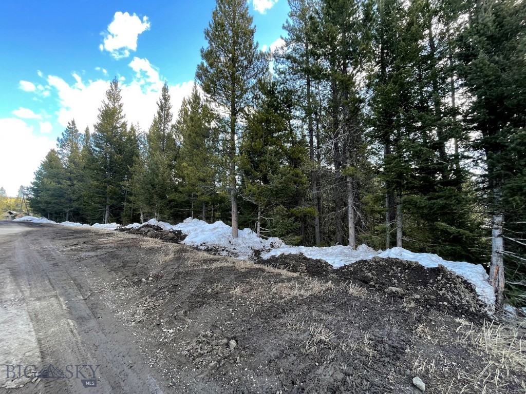 Lot 9A-1 Wedeln Drive, Bozeman MT 59715