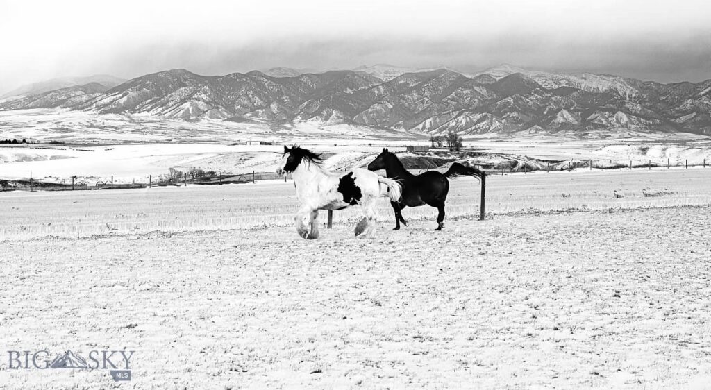 9670 Prairie Rd, Bozeman MT 59741