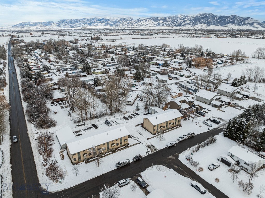 21 Chestnut Grove Avenue, Bozeman MT 59718