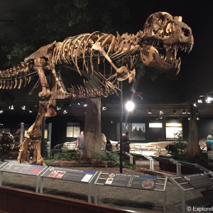 museum-of-the-rockies-0510