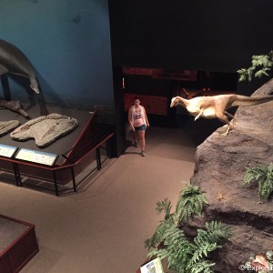 museum-of-the-rockies-0513