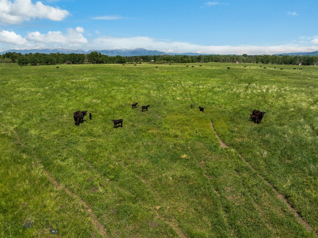 NHN Cottontail Road, Bozeman MT 59718