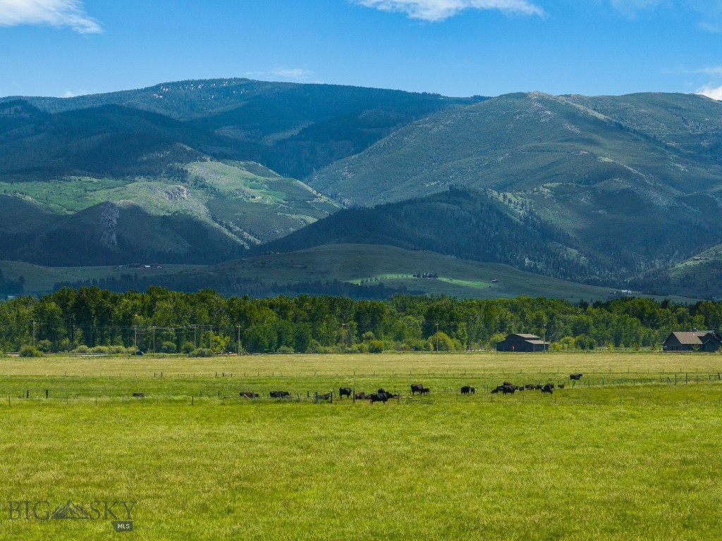 NHN Cottontail Road, Bozeman MT 59718