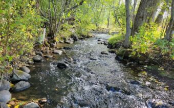 NHN Hyalite Canyon Road, Bozeman MT 59715