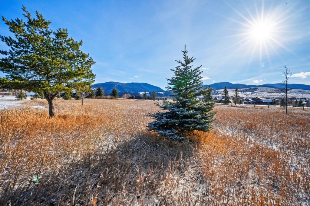 NHN Pheasant Dr, Bozeman MT 59718