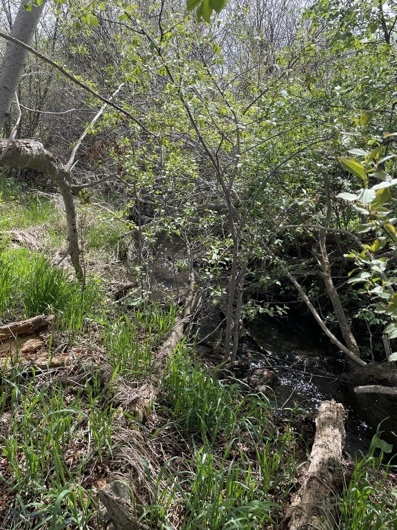 NKN Mount Ellis Lane, Bozeman MT 59715