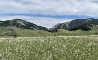 NKN Mount Ellis Lane, Bozeman MT 59715