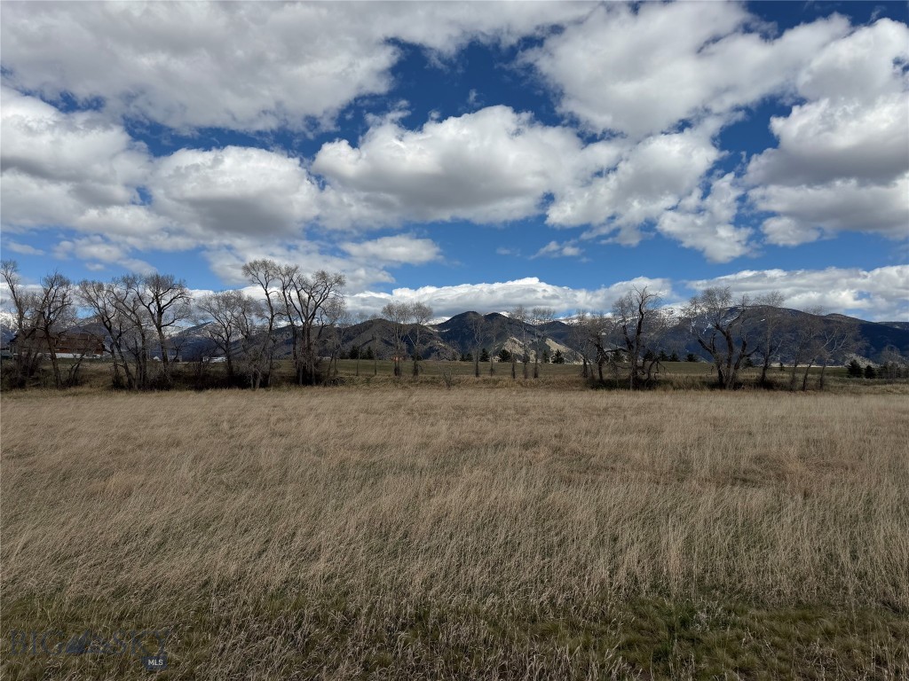 5774 Wavy Leaf Way, Bozeman MT 59718