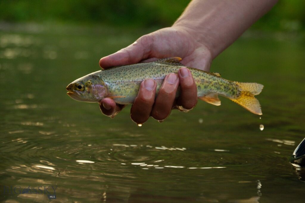 3592 Bridger Canyon Road, Bozeman MT 59715