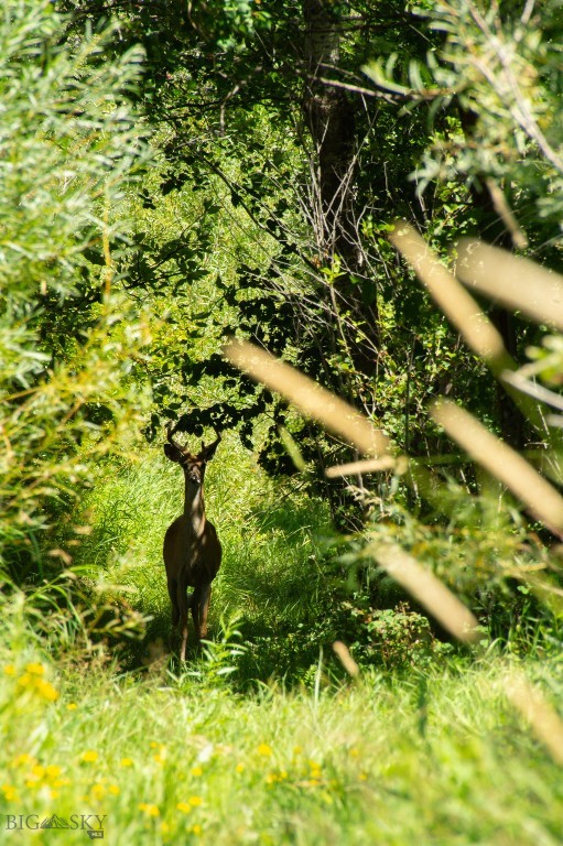 3592 Bridger Canyon Road, Bozeman MT 59715