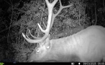 3592 Bridger Canyon Road, Bozeman MT 59715