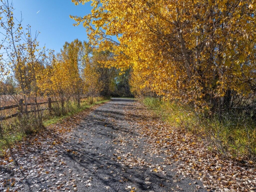 3 Mallard Lane, Bozeman MT 59718