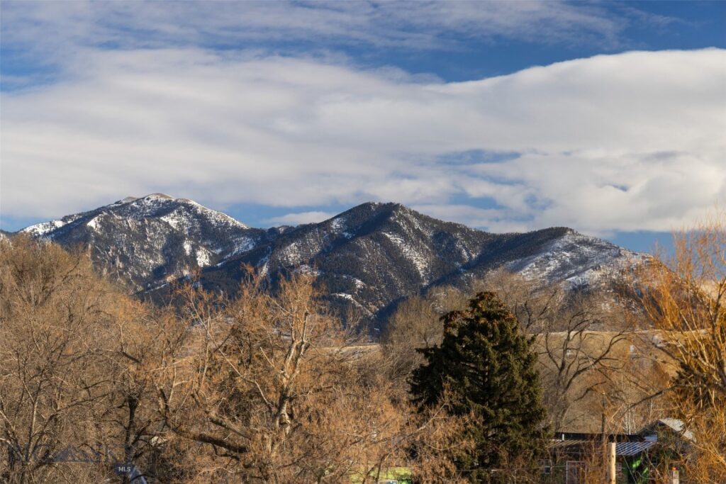 201 & 201 1/2 N Black Avenue, Bozeman MT 59715