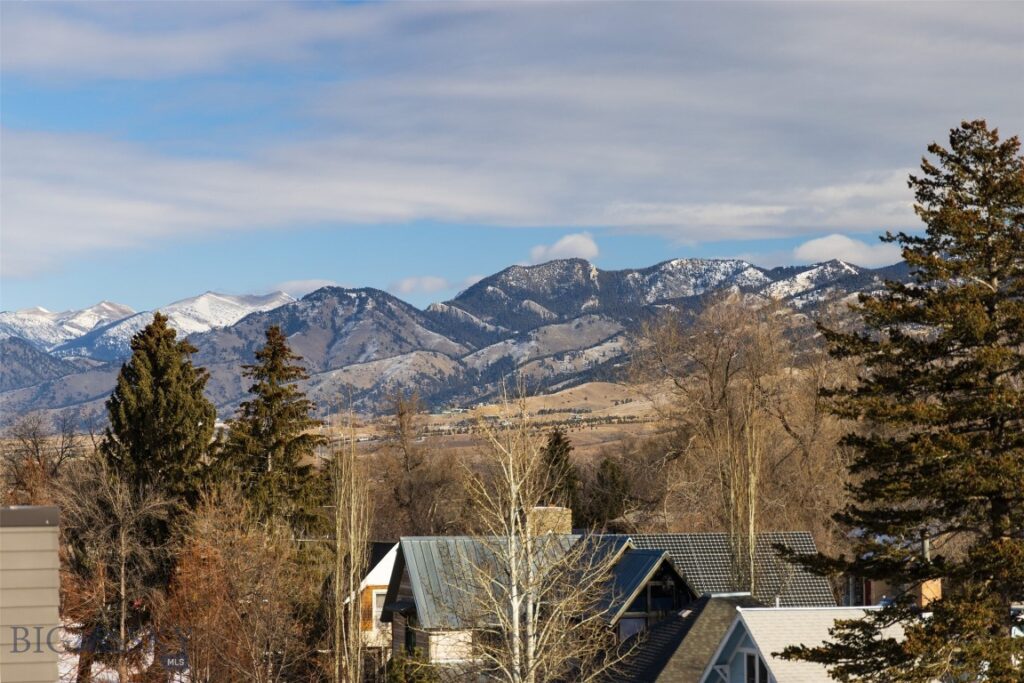 201 & 201 1/2 N Black Avenue, Bozeman MT 59715