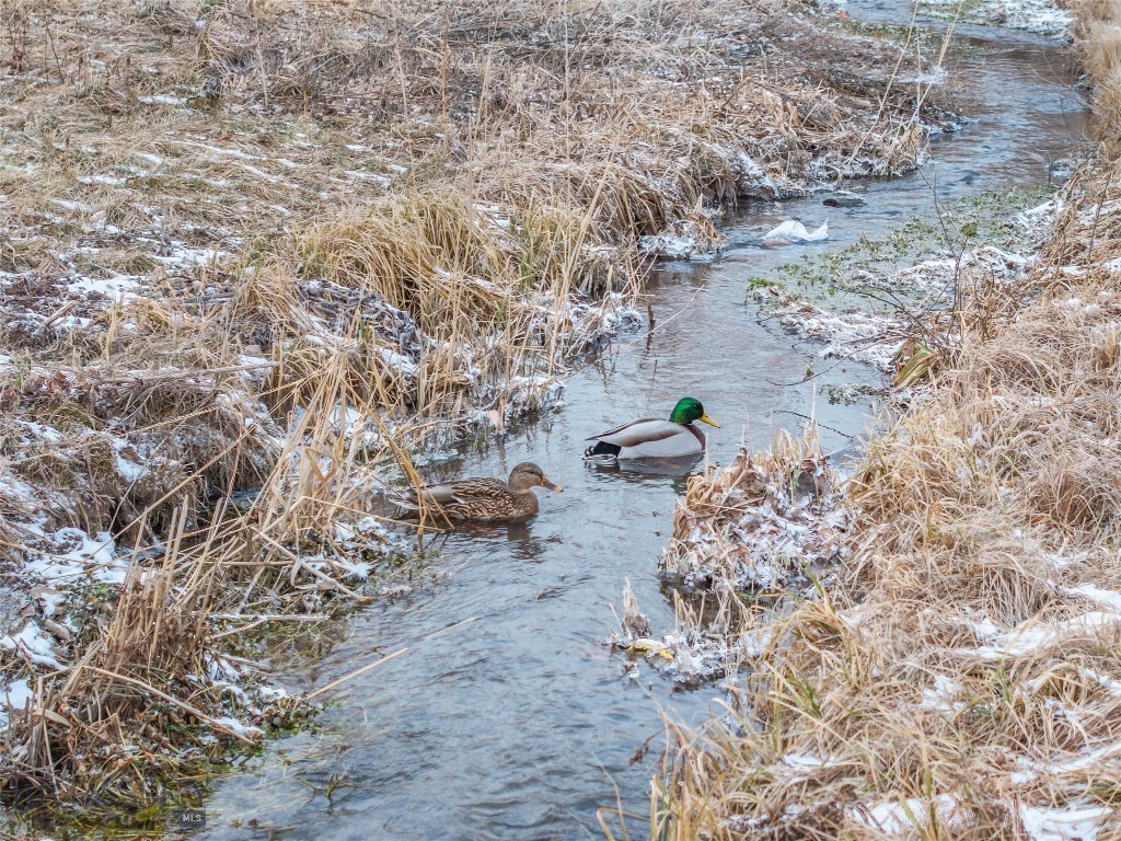 42 N 25th Avenue, Bozeman MT 59718