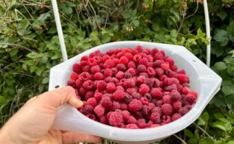 4526 Glenwood, Bozeman MT 59718