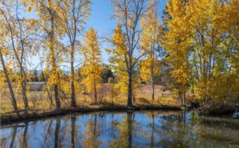 3 Mallard Lane, Bozeman MT 59718