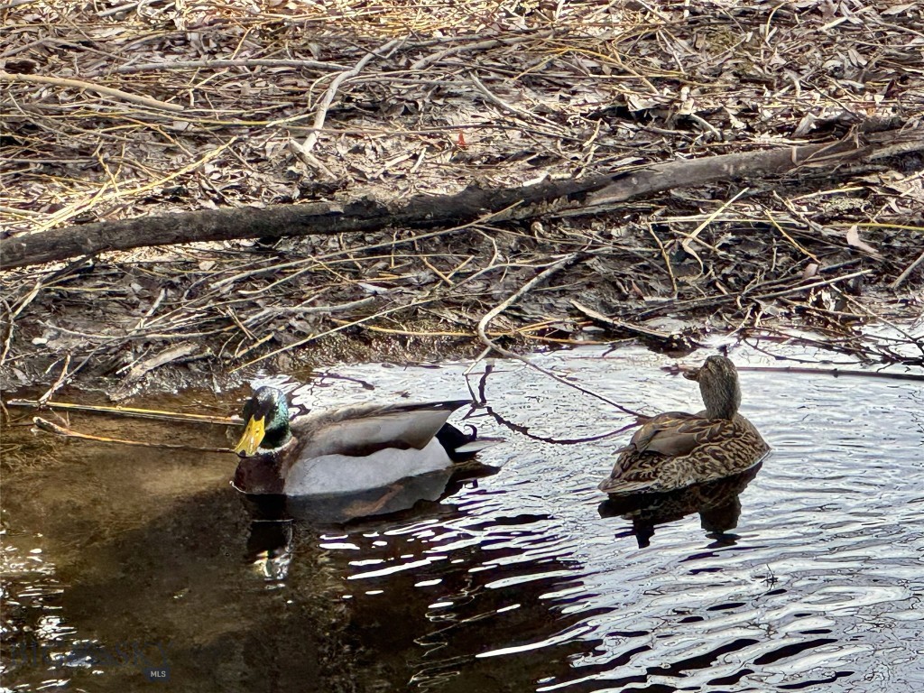 17 W Fieldview, Bozeman MT 59715