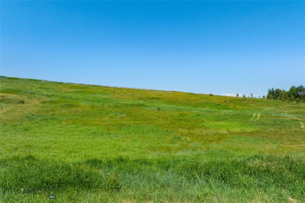 Lot 5 Francham, Bozeman MT 59715