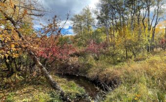 1918 Spring Creek Drive, Bozeman MT 59715