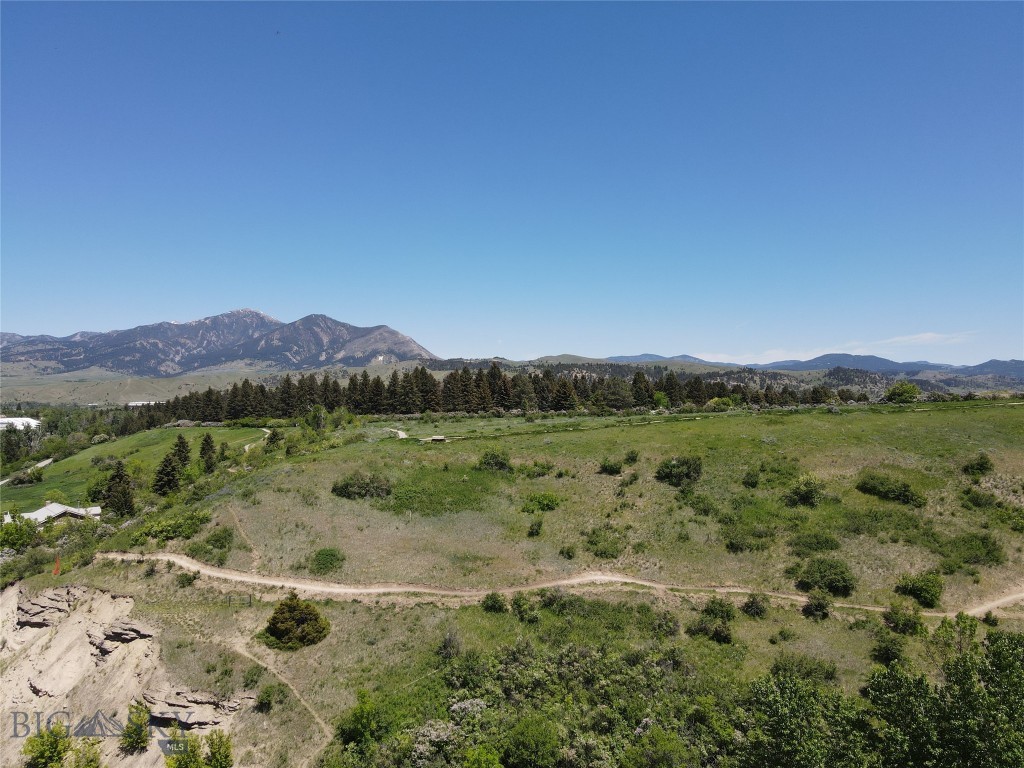 719 S Church Avenue, Bozeman MT 59715