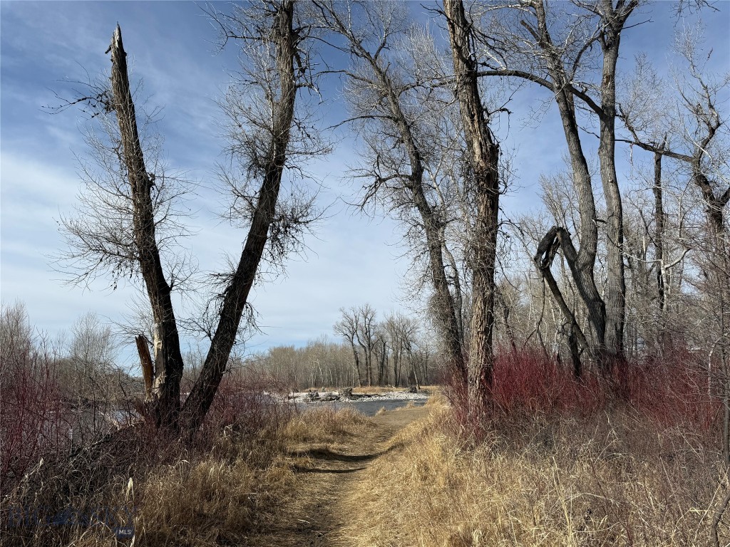 13 Boxcar Lane, Bozeman MT 59718