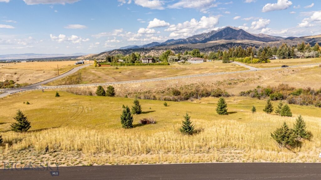 125 Blossom Way, Bozeman MT 59715