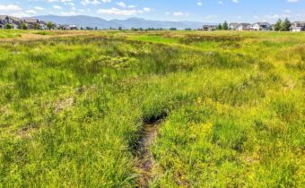 TBD B2L3 Last Loop Drive, Bozeman MT 59718