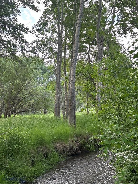 TBD Spring Creek Drive, Bozeman MT 59715