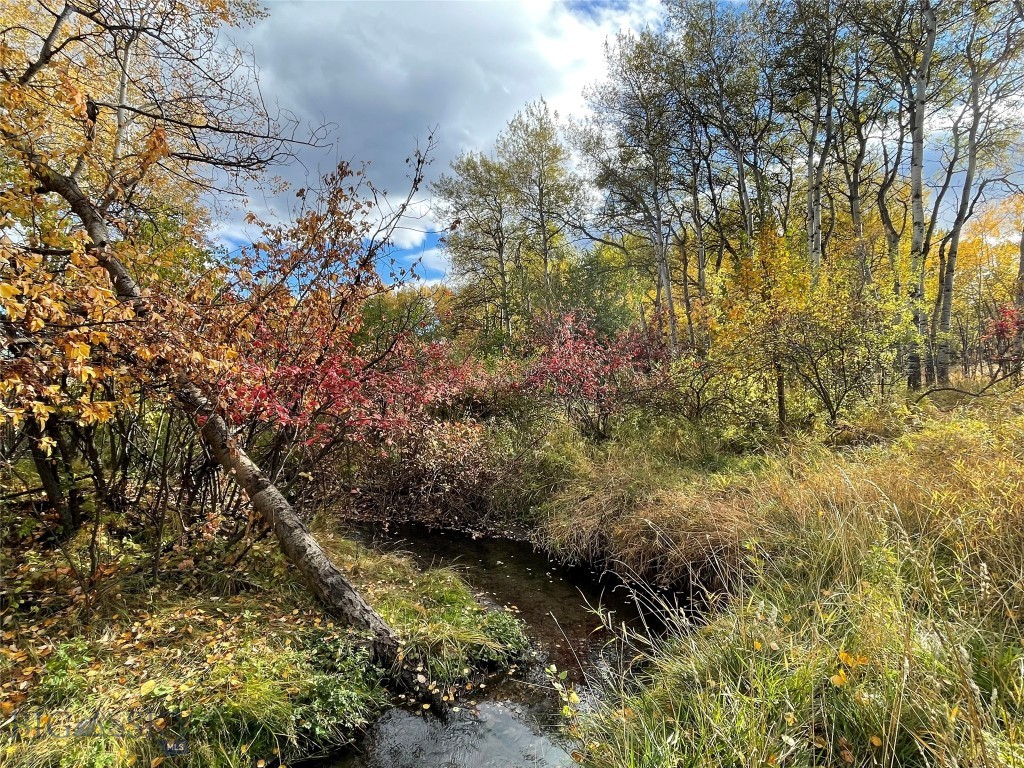 1918 & TBD Spring Creek Drive, Bozeman MT 59715