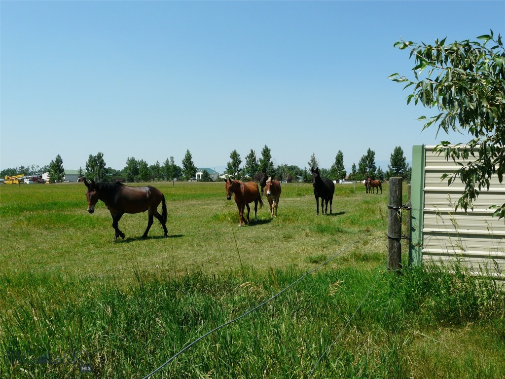 7543 Fowler Lane, Bozeman MT 59718