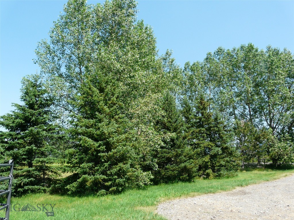 7543 Fowler Lane, Bozeman MT 59718