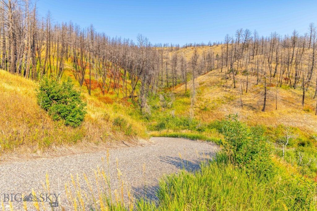 111 Bridger Spring Trail, Bozeman MT 59715