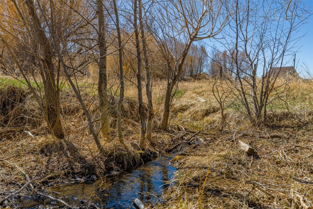 TBD Golden Buffalo Road, Bozeman MT 59715