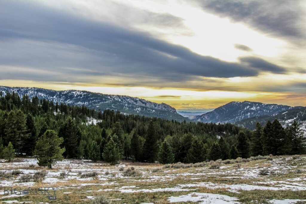 , Bozeman MT 59715