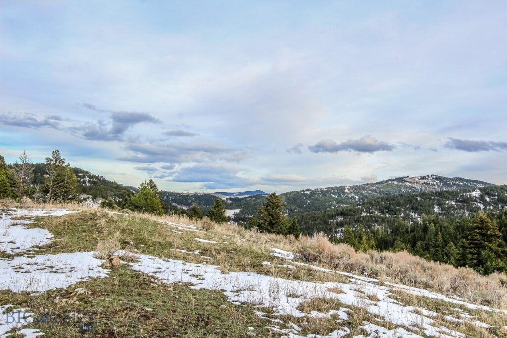 , Bozeman MT 59715