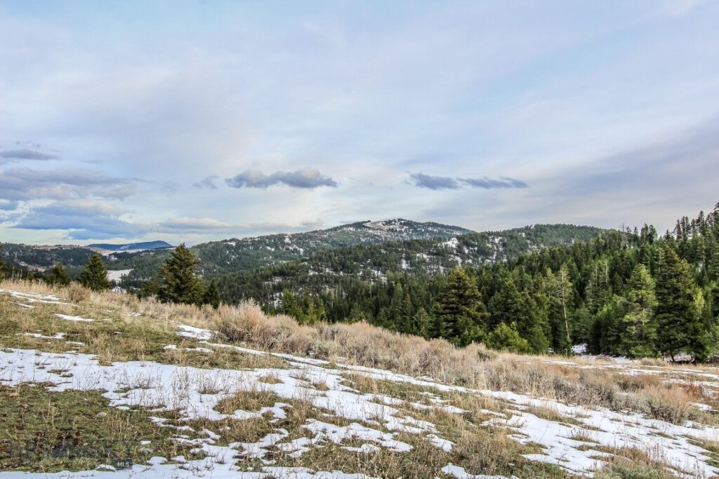 , Bozeman MT 59715
